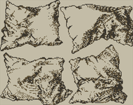 Alpha pattern #196106