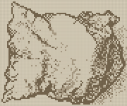Alpha pattern #196108
