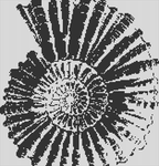 Alpha pattern #204180