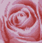 Alpha pattern #205715