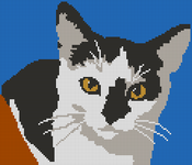 Alpha pattern #206349