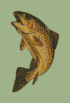 Alpha pattern #214405