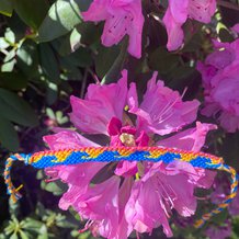 Pattern #27441 Photo