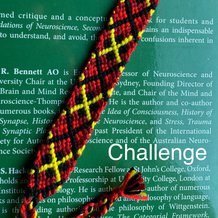 Pattern #167546 Photo