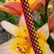 Pattern #125513 Photo
