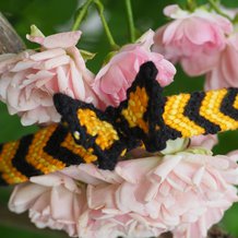 Pattern #167858 Photo