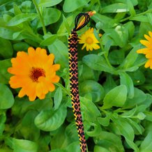 Pattern #116411 Photo