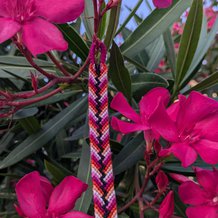 Pattern #169071 Photo
