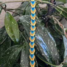 Pattern #86272 Photo