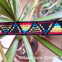 Pattern #119255 Photo