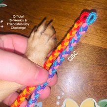 Pattern #171270 Photo