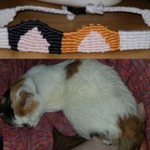 Pattern #116657 Photo