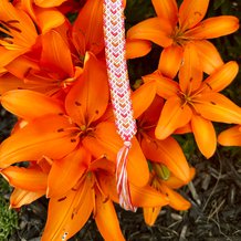 Pattern #138391 Photo