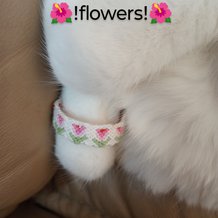 Pattern #168737 Photo