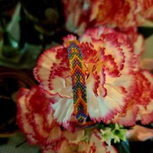 Pattern #155887 Photo