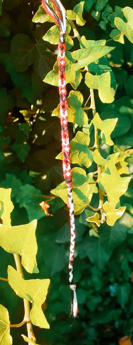 Normal pattern #154952 BraceletBook