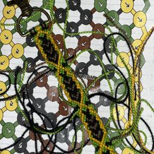Pattern #174120 Photo