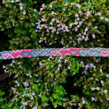 Pattern #146093 Photo