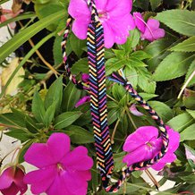 Pattern #147477 Photo