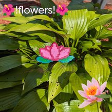 Pattern #173633 Photo