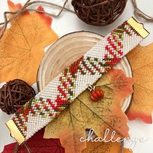 Pattern #769 Photo