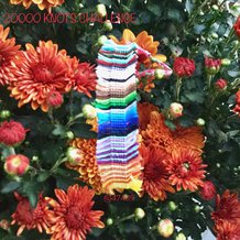 Pattern #12398 Photo