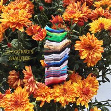 Pattern #12398 Photo