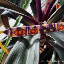 Pattern #159151 Photo