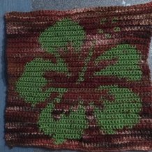 Pattern #90233 Photo