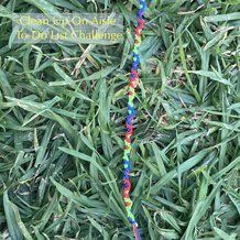 Pattern #3402 Photo