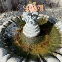 Pattern #122846 Photo