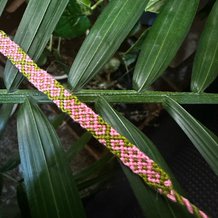 Pattern #180550 Photo