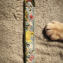 Pattern #121155 Photo