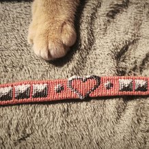Pattern #149434 Photo