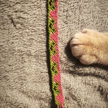 Pattern #129261 Photo