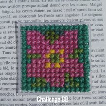 Pattern #180439 Photo