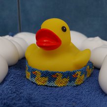Pattern #173846 Photo