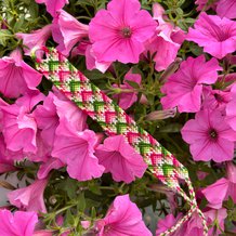Pattern #95575 Photo