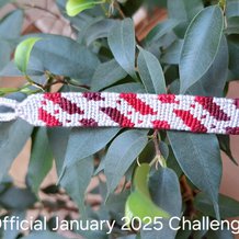 Pattern #26506 Photo