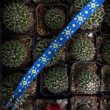 Pattern #153285 Photo