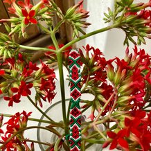 Pattern #178877 Photo