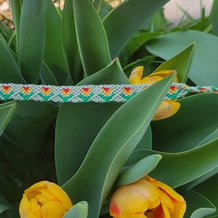 Pattern #89616 Photo