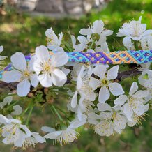 Pattern #153274 Photo