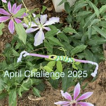Pattern #185439 Photo