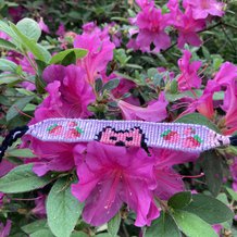 Pattern #159900 Photo