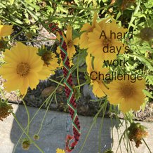 Pattern #49767 Photo