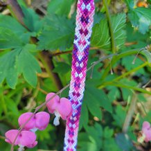 Pattern #143566 Photo