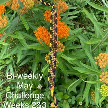 Pattern #181826 Photo