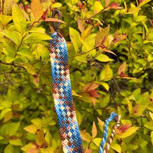 Pattern #115923 Photo