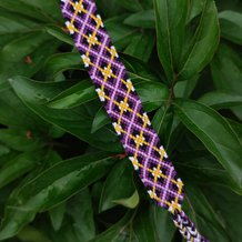 Pattern #23813 Photo